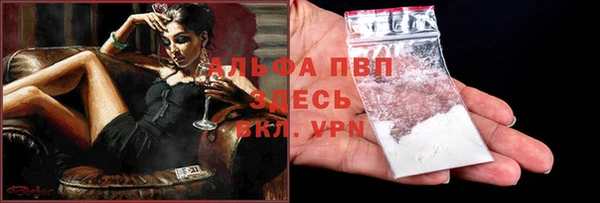 амф Шадринск