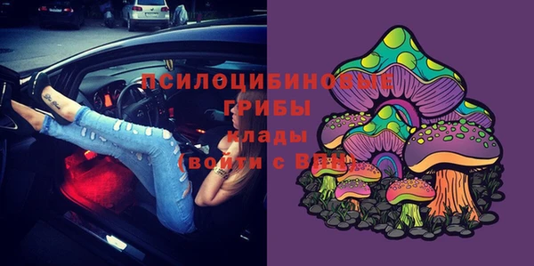 амф Шадринск
